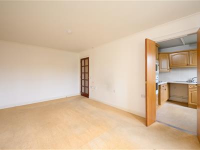 Picture 7